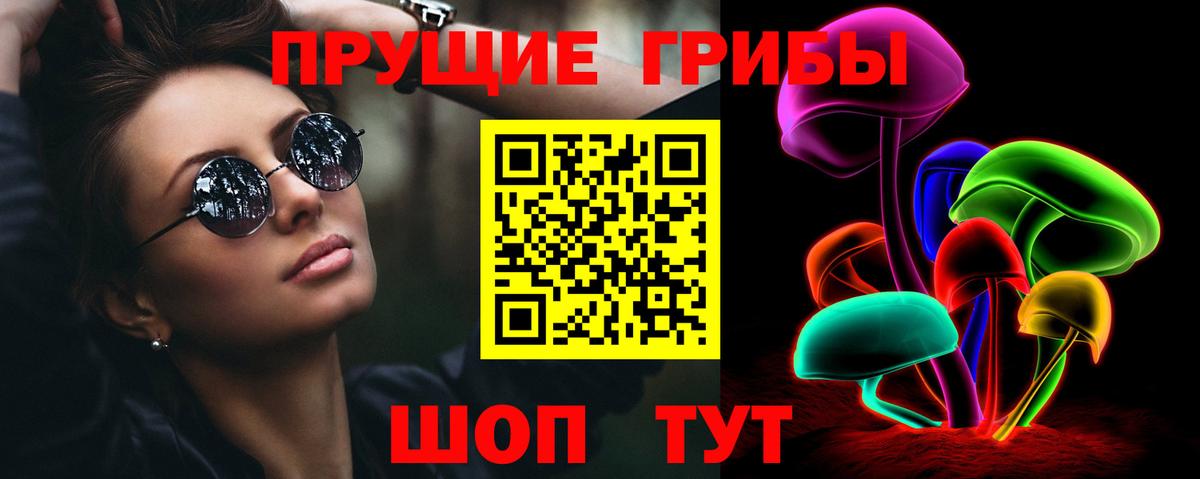 Фрязино  Псилоцибиновые грибы MAGIC MUSHROOMS  Вход с VPN 